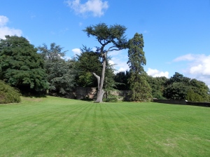 The beautiful garden of Farnham Castle